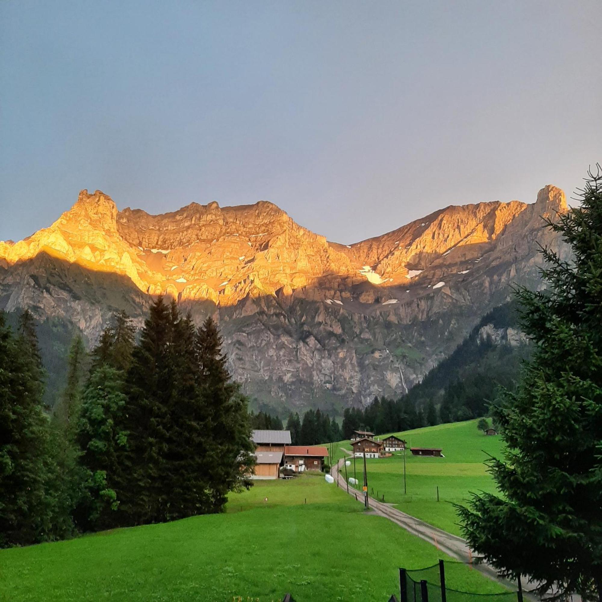 Bunderbach Villa Adelboden Bagian luar foto