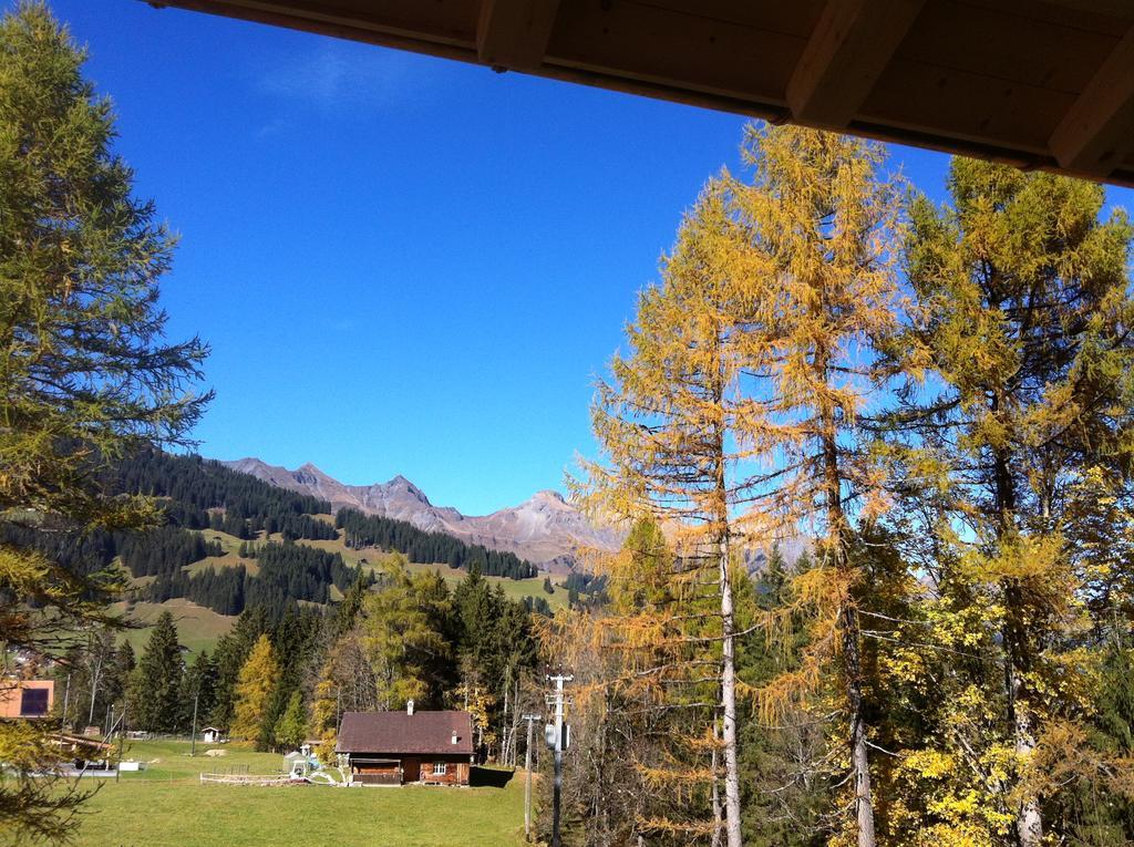 Bunderbach Villa Adelboden Bagian luar foto