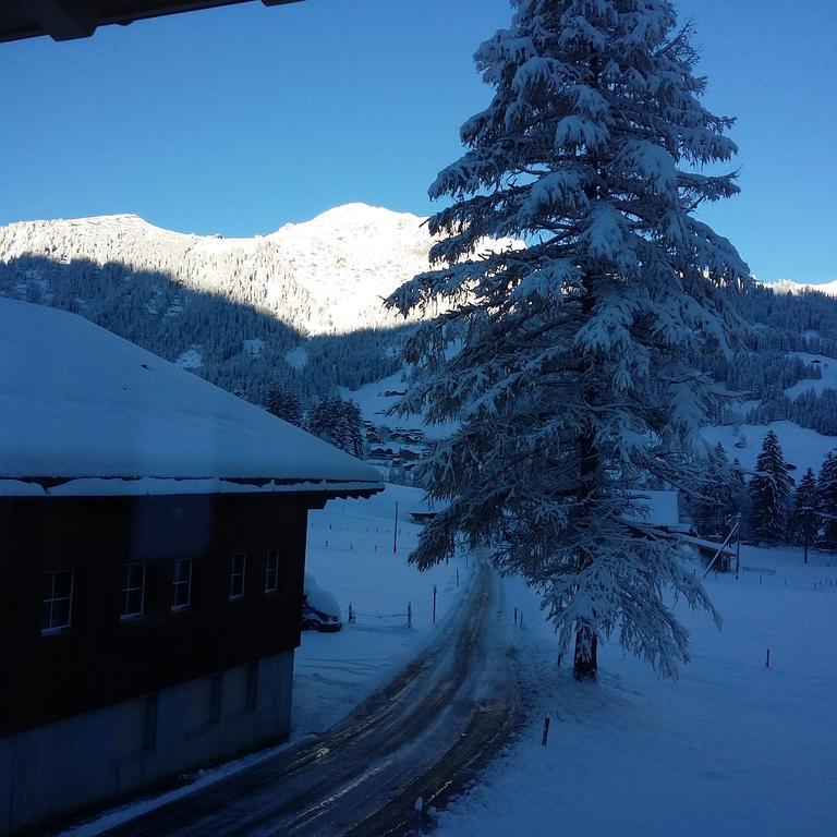 Bunderbach Villa Adelboden Bagian luar foto