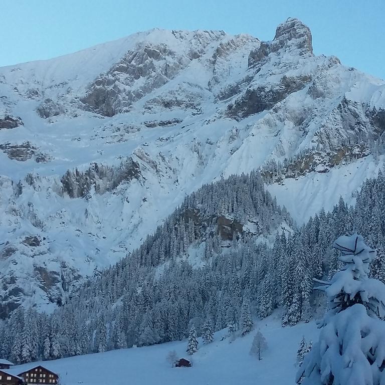 Bunderbach Villa Adelboden Bagian luar foto