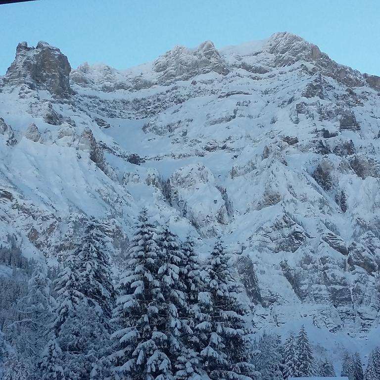 Bunderbach Villa Adelboden Bagian luar foto