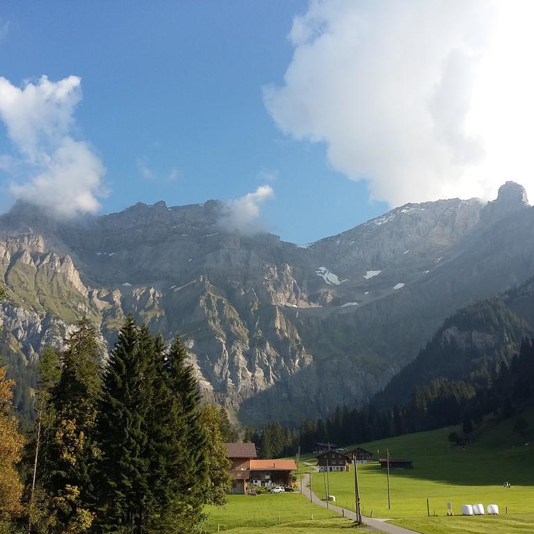 Bunderbach Villa Adelboden Bagian luar foto