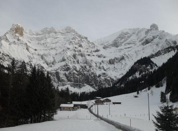 Bunderbach Villa Adelboden Bagian luar foto